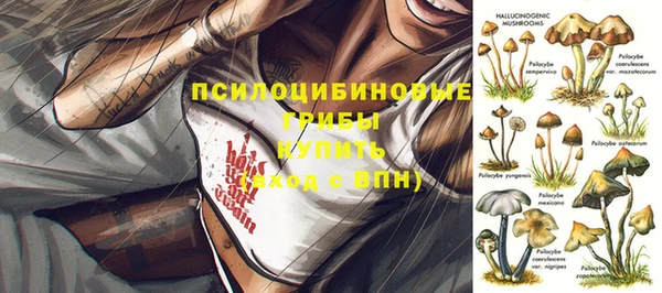 mdpv Карталы