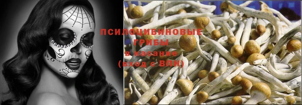2c-b Касимов
